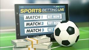 Descubra o Mundo das Apostas com 656bet 3