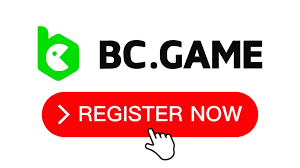 Discover the Excitement of BCigra Casino A Comprehensive Guide