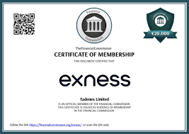 Ultimate Guide to Exness Web Terminal